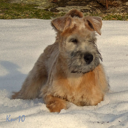 Bryn-in-the-snow-3-months.jpg