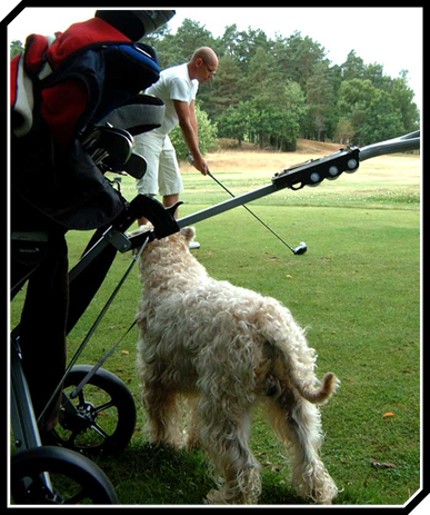 Heilyn-golf-coatch.jpg