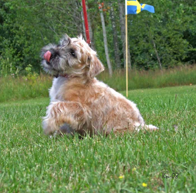 Rosie-in-sweden-2.jpg