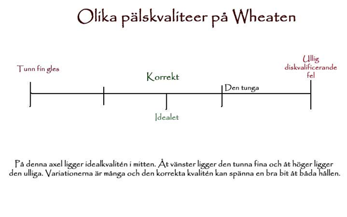 Schema-palskvalite-2.jpg