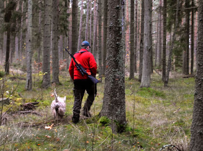 Faxe-o-husse-til-jakt.jpg