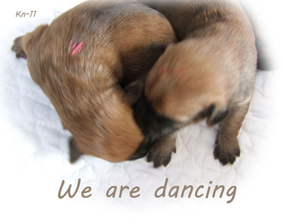 We-are-dancing.jpg