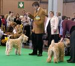 crufts9