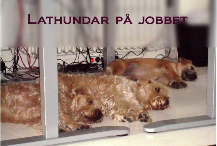 lathundar-på-jobbet