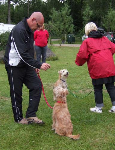 vr-days-puppy-training