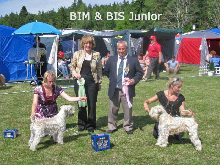 bim-o-bis-junior-www